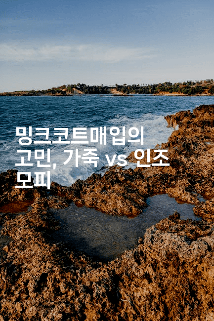 밍크코트매입의 고민, 가죽 vs 인조 모피-국보대표