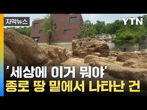 [자막뉴스] 서울 도심 땅밑서 발견…엄청난 희귀 사례 / YTN