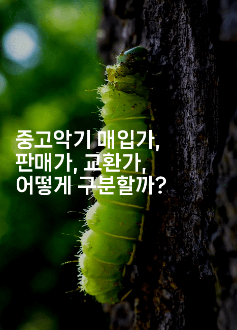 중고악기 매입가, 판매가, 교환가, 어떻게 구분할까?2-국보대표