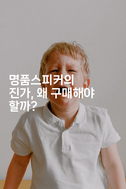 명품스피커의 진가, 왜 구매해야 할까?2-국보대표