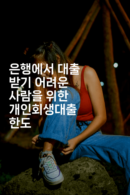 은행에서 대출 받기 어려운 사람을 위한 개인회생대출 한도-국보대표