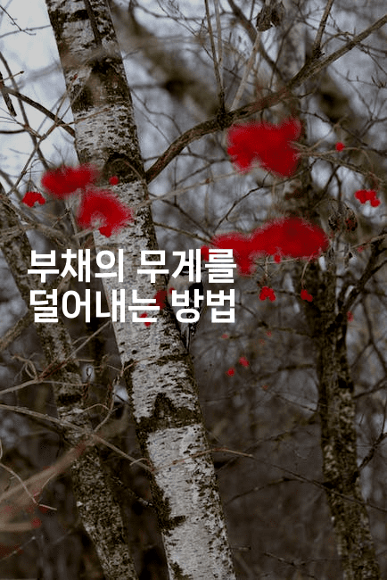 부채의 무게를 덜어내는 방법-국보대표