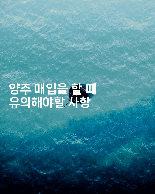 양주 매입을 할 때 유의해야할 사항-국보대표