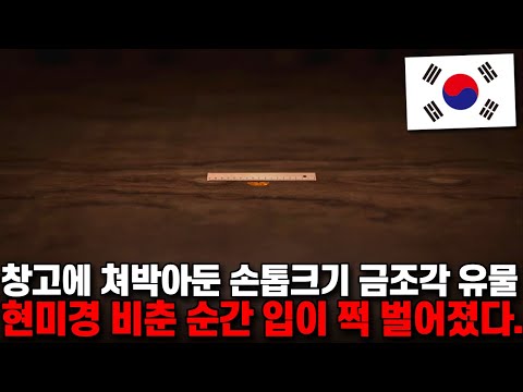 하수구에서 발견한 손톱크기 금조각 유물, 현미경으로 1,000배 확대했더니 어마어마한 세상이 펼쳐졌다.