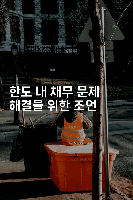 한도 내 채무 문제 해결을 위한 조언-국보대표