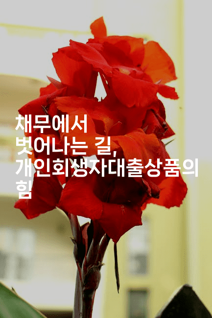 채무에서 벗어나는 길, 개인회생자대출상품의 힘-국보대표