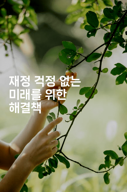 재정 걱정 없는 미래를 위한 해결책-국보대표