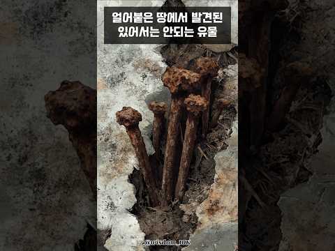 영구동토 아래에서 발견된 미스터리한 유물