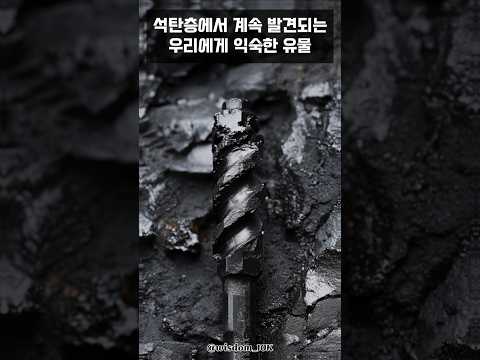 드릴 날로 추정되는 미스터리한 유물