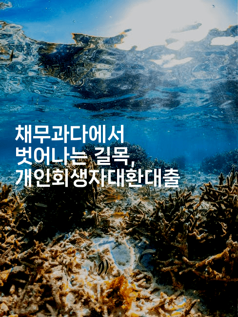 채무과다에서 벗어나는 길목, 개인회생자대환대출-국보대표