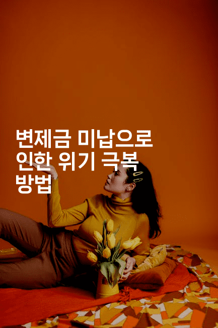 변제금 미납으로 인한 위기 극복 방법-국보대표