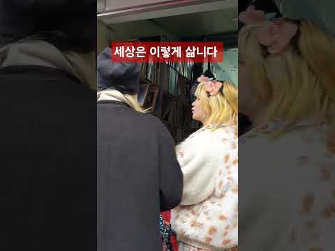 도께비시장  골동품 모든게 다있네 손때 묻은 물건