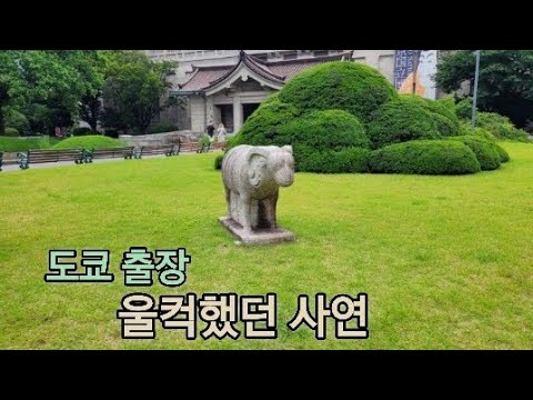 ? 일본 헤이와지마 앤틱페어/ 야마토 토밍구 골동품시장/오이경마장 벼룩시장/ 도쿄 국립 박물관 문관석