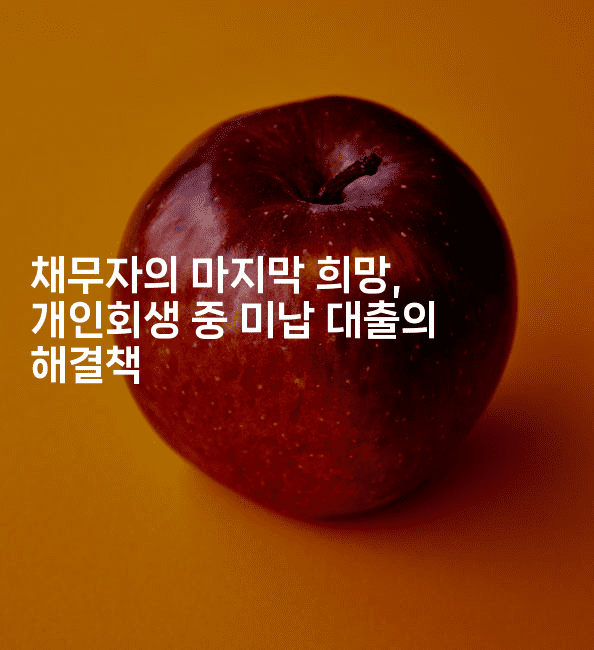 채무자의 마지막 희망, 개인회생 중 미납 대출의 해결책-국보대표