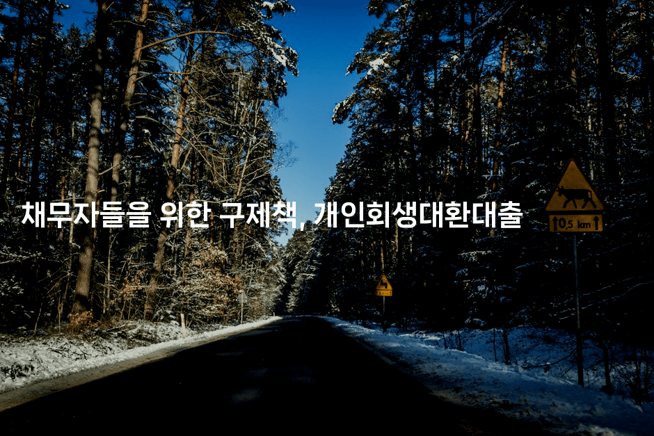 채무자들을 위한 구제책, 개인회생대환대출-국보대표